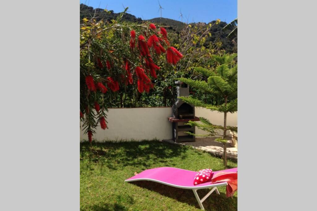 Apartment La Peña Rojo Wifi Tarifa Exterior foto